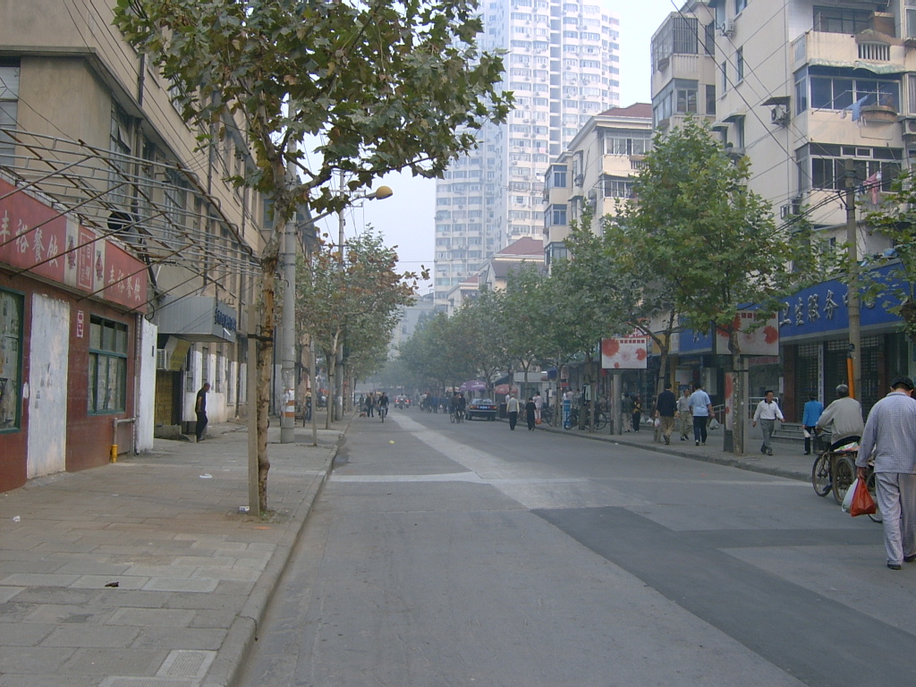 SV300016普育东路街景.JPG